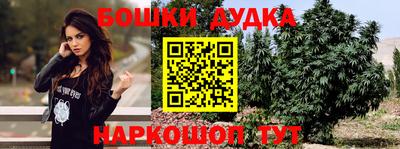 индика Будённовск