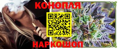 индика Будённовск