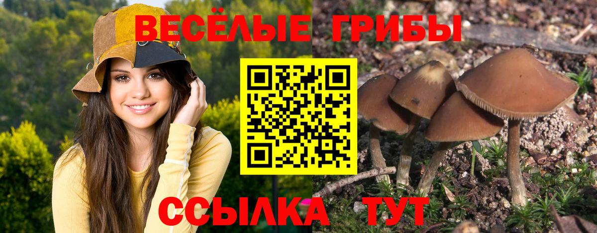 Галлюциногенные грибы мицелий Переславль-Залесский